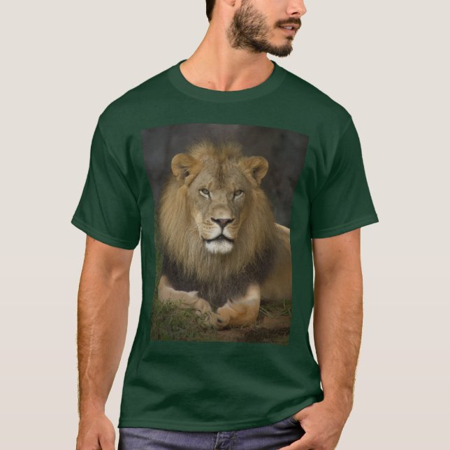 Camiseta Leão (Frente)