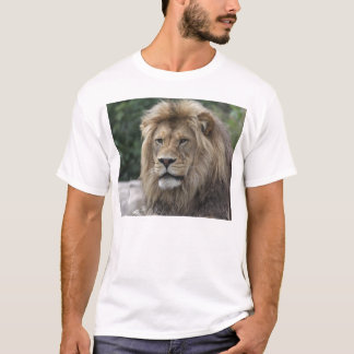 Camiseta Leão
