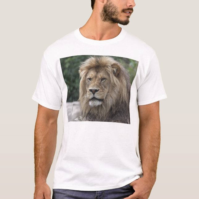 Camiseta Leão (Frente)