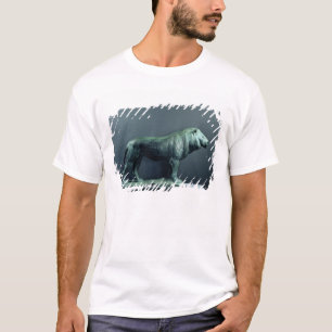Camiseta Leão, 1904
