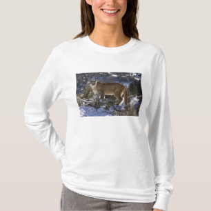 Camiseta Leão-da-montanha
