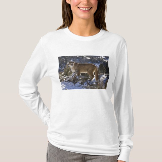 Camiseta Leão-da-montanha (Frente)