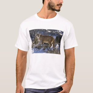 Camiseta Leão-da-montanha