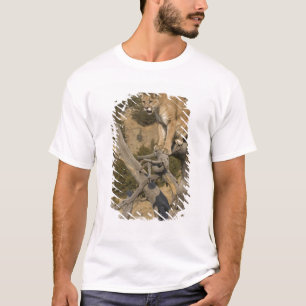 Camiseta Leão-da-montanha, também conhecido como puma, coug