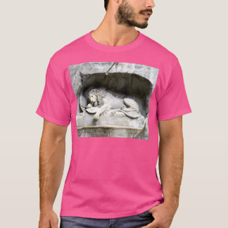 Camiseta Leão De Luzerna