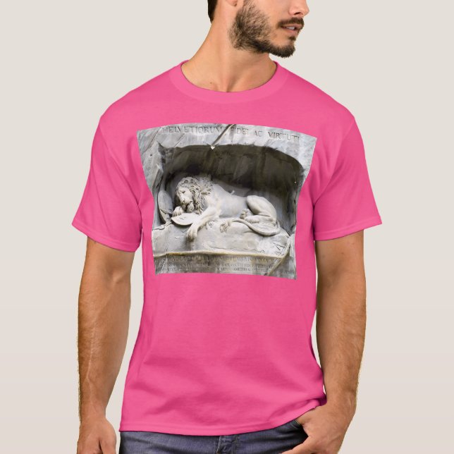 Camiseta Leão De Luzerna (Frente)