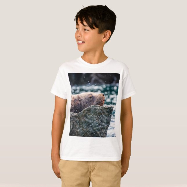 Camiseta Leão-Do-Mar Na Baía De Ressurreição, Alasca (Frente Completa)