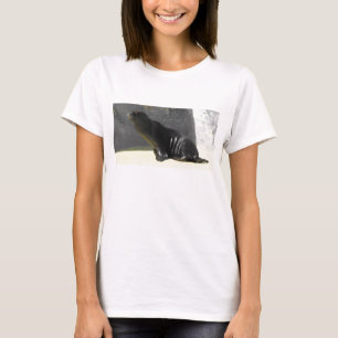 Camiseta Leão marinho sentado