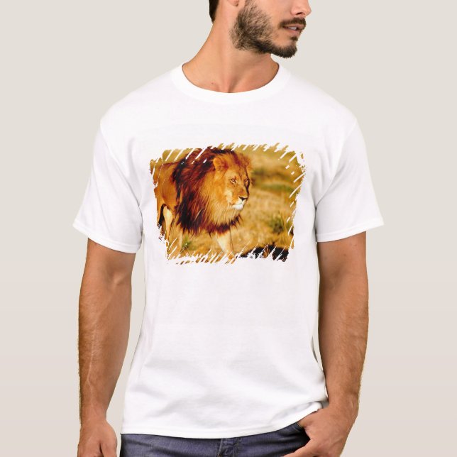 Camiseta Leão Solitário (Frente)