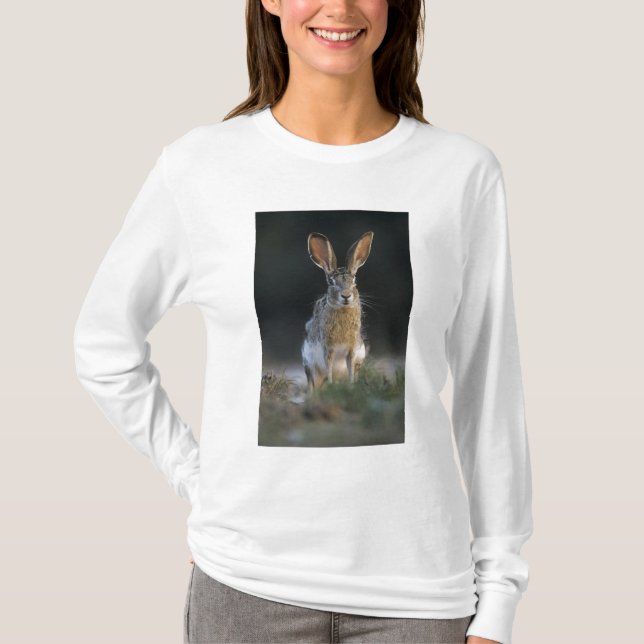 Camiseta Lebre-de-cauda-preta, Lepus californicus, 2 (Frente)