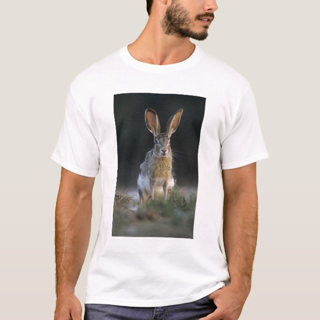 Camiseta Lebre-de-cauda-preta, Lepus californicus, 2 (Frente)