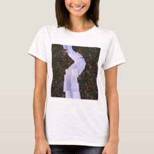 Camiseta Leitor de Leitura do Caminho do Livro