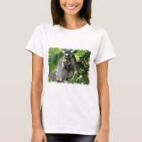 Lemur