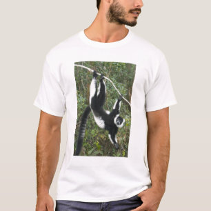 Camiseta Lêmure-rufo-branco-e-preto, (Varecia