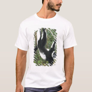 Camiseta Lêmure-rufo-preto-e-branco, (Varecia