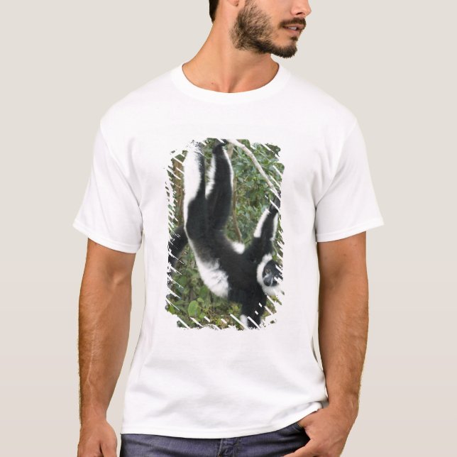 Camiseta Lêmure-rufo-preto-e-branco, (Varecia (Frente)
