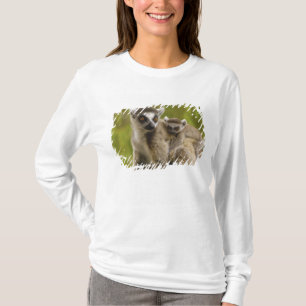 Camiseta Lêmures-de-cauda-anelada (Lemur catta) Mãe e filho
