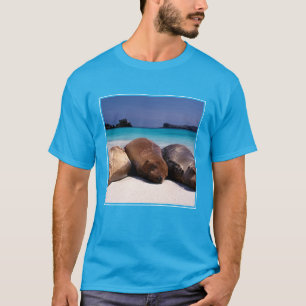 Camiseta Leões de mar que dormem na praia   Equador
