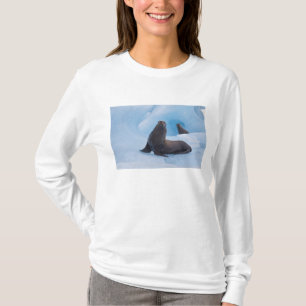 Camiseta Leões-marinhos estelares brincalhões lutam em iceb