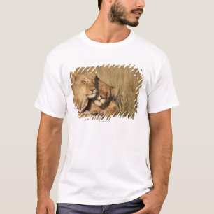 Camiseta Leões reserva do jogo de África, Kenya, Mara d