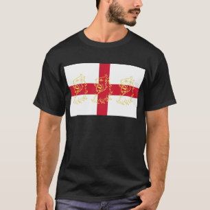 Camiseta Leões transversais de St George da bandeira