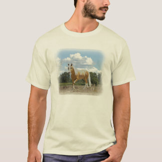 Camiseta LeonardoSkyEarth
