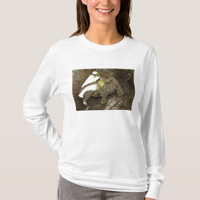 Camiseta Leopardo Africano, Panthera pardus (Frente)