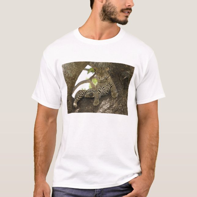 Camiseta Leopardo-africano, Panthera pardus (Frente)