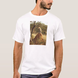 Camiseta Leopardo no monte da térmita em Namíbia
