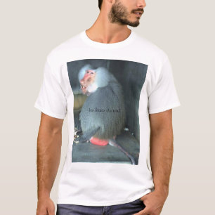 Camiseta les fleurs du mal - babuíno