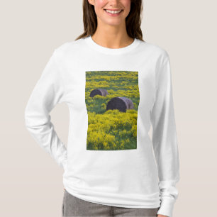 Camiseta Letônia, Nordeste da Letônia, Região de Vidzeme,