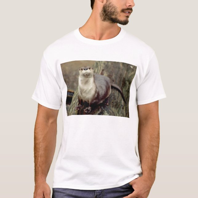 Camiseta Levantamento da lontra de rio (Frente)