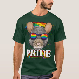Camiseta LGBT Orgulho gay LGBTQ Sinalizador do arco-íris Óc