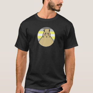 Camiseta Lgbtqia+ Capybara Em Demigender Pride Rainbow Circ