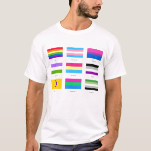 Camiseta LGBTQIA Pride 9 x FLAGS Rainbow Awarts Chic An