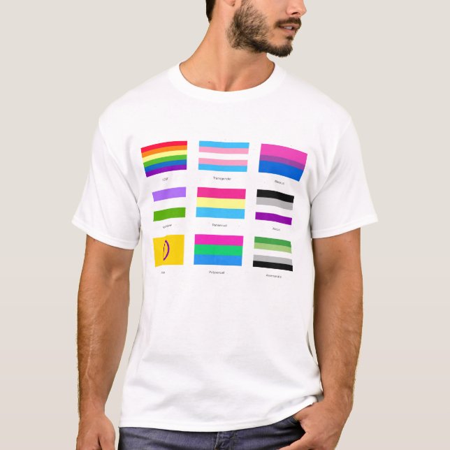 Camiseta LGBTQIA Pride 9 x FLAGS Rainbow Awarts Chic An (Frente)