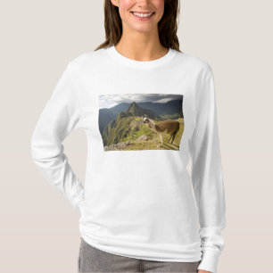 Camiseta Lhamas e uma vista geral de Machu Picchu,
