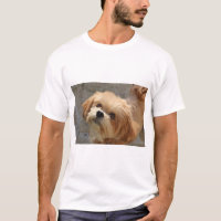 Lhasa Apso cão num jardim