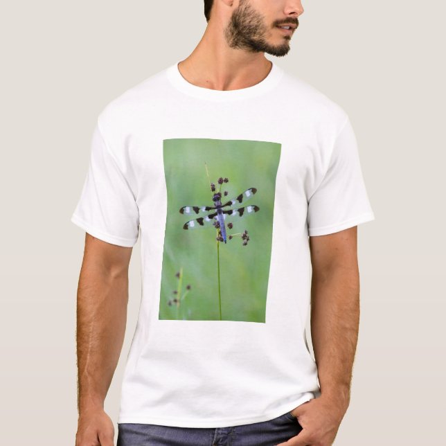 Camiseta Libélula pousada na grama, Canadá (Frente)