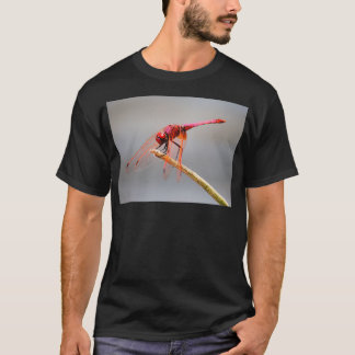 Camiseta libélula vermelha 5