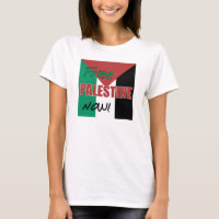 Liberdade da Palestina Agora Bandeira Palestina
