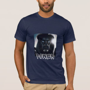 Camiseta Libere a força do seu leão de energia