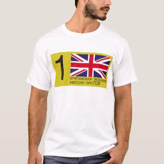 CAMISETA LICENÇA DE BRIXMIS