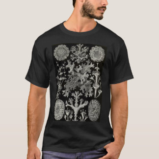 Camiseta Lichenes (Thalphytes - Lichens) - Ernst