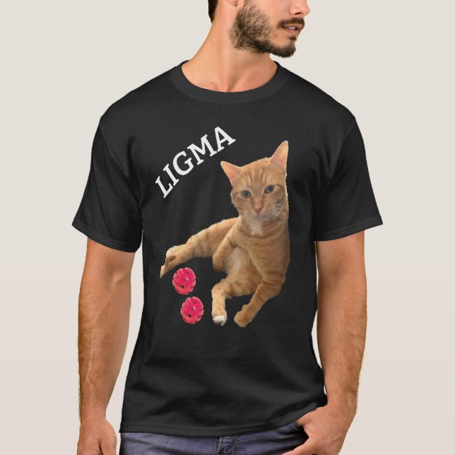 Camiseta Ligma Piada Cat com brinquedos (Frente)