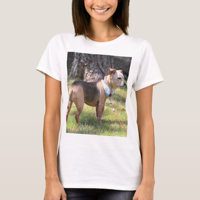 Camiseta Lily (Frente)