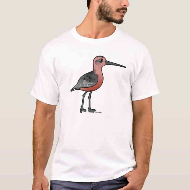 Camiseta Limosa com cauda listrada (Frente)