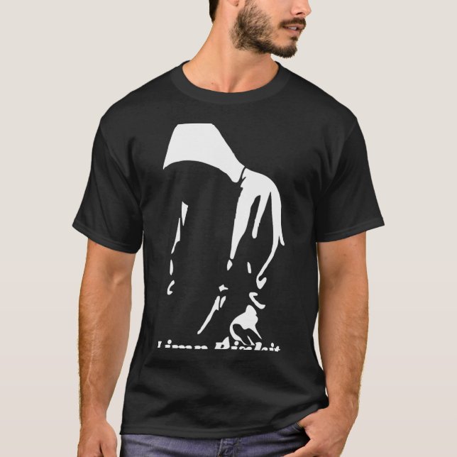 Camiseta Limp Bizkit (1) (Frente)