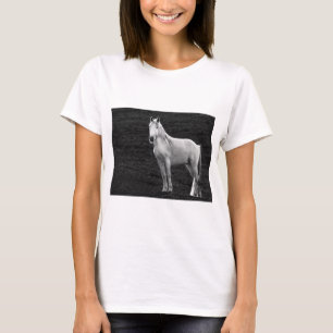 Camiseta LIN10BW o Stance.tif