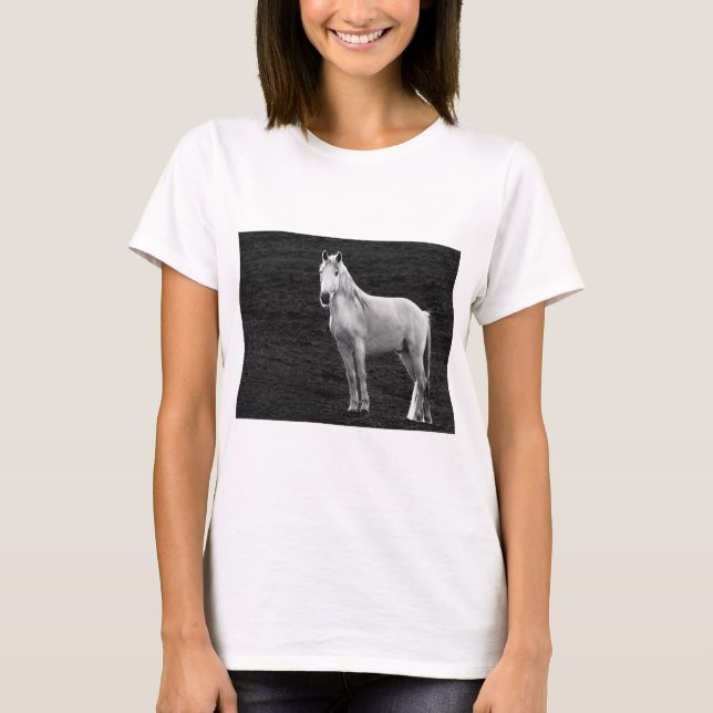 Camiseta LIN10BW o Stance.tif (Frente)